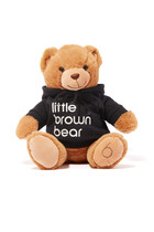 Little Brown Bear